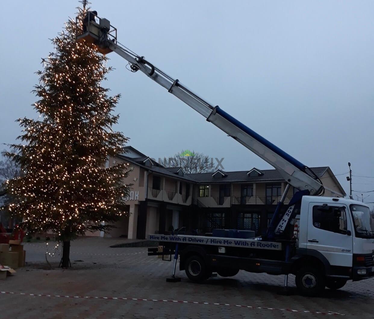 изображение_viber_2022-01-17_16-31-24-535