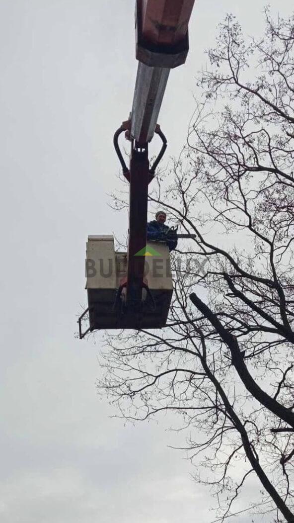 photo_2022-01-19_11-35-25 Спил деревьев Черновцы